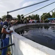 Los hermanos Lidia y Omar Cano Obregon se dedican a la cria intensiva de tilapia y clarias en el poblado de Falcón...