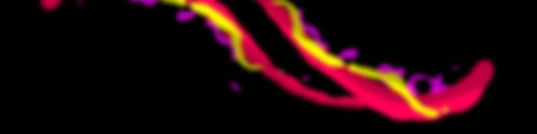 1001 noites de Cultura em Guarulhos