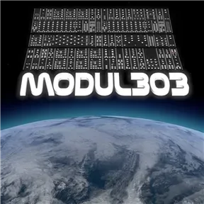 modul 303