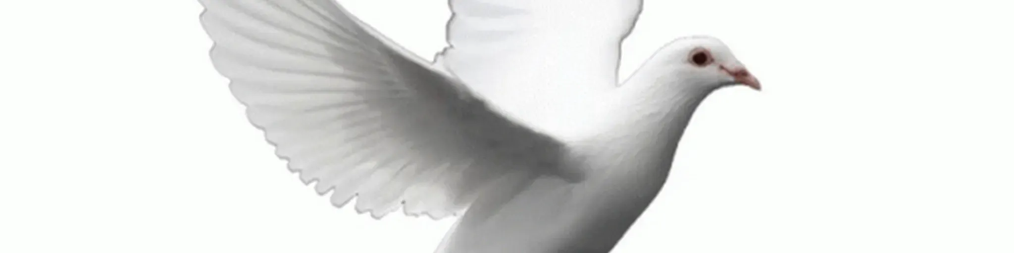 RADIO DIOS DE ISRAEL