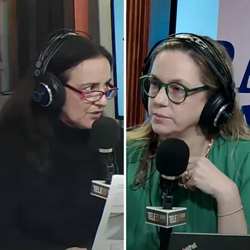 La percepción ciudadana del Consejo Constitucional y el monopolio de Google