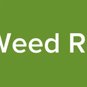 Smoking Weed Radio Vibes
