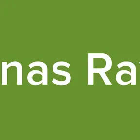 GTA Pinas Ravensilk