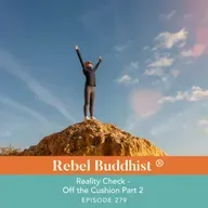 Reality Check - Off the Cushion + Into the World Part 2