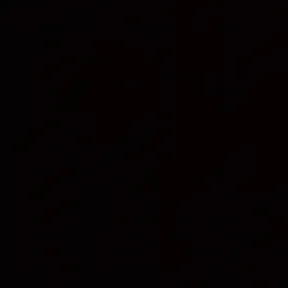 el pro 22