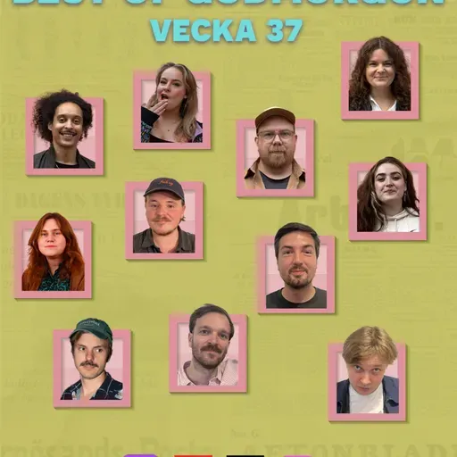 Best of vecka 37