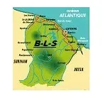bls guyane