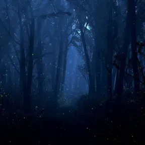 Hunting Grounds