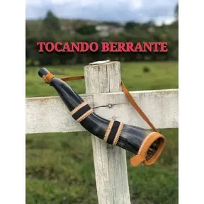 RADIO TOCANDO BERRANTE