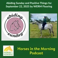 Abiding Sunday and Positive Things for September 22, 2025 by WERM Flooring