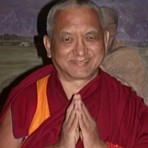 26- FPMT PORTUGUÊS - Coberta de Liberação para ajudar os outros na hora da morte