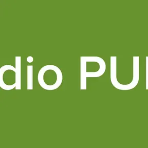 Radio PUBG