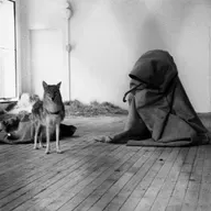 Hoy Hablamos de Arte Povera