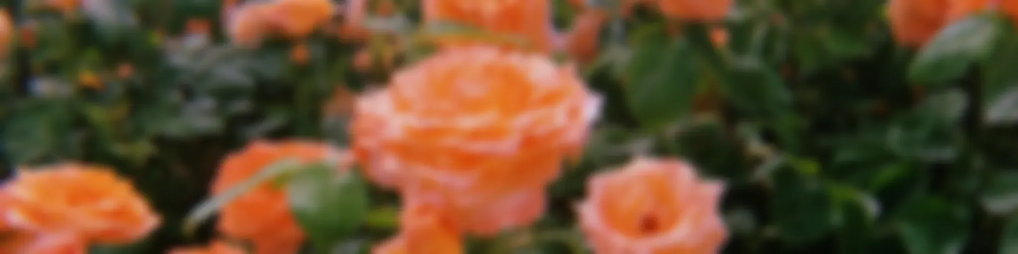 0622の思いつきラジオ