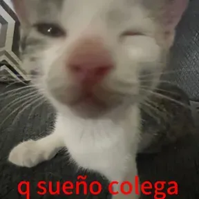 Reggaeton Viejo