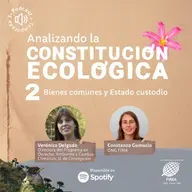 Bienes comunes y Estado custodio