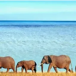 SAMUNDAR