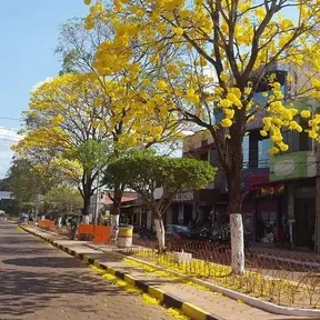 RADIO GUAYARAMERIN EN LINEA