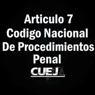 Articulo 7 Código Nacional de Procedimientos Penal