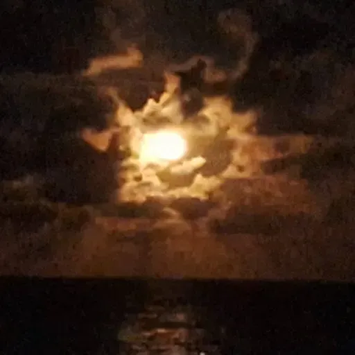 POR ONDE ANDAS        erhi Araujo