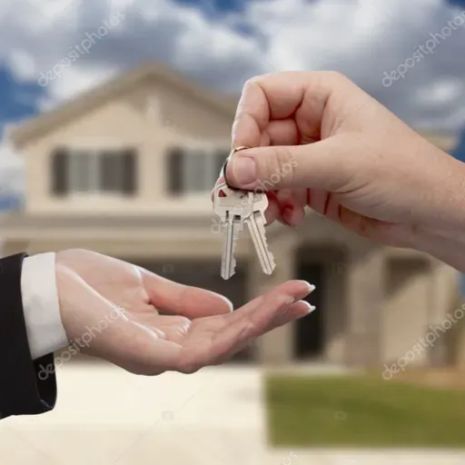 Asignación o Designación