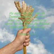 Feeste van God (4): Waaioffer