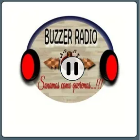 Buzzer radio