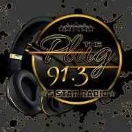 91.3 The Plug Radio