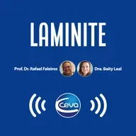 Laminite #01 Do sucesso ao sofrimento