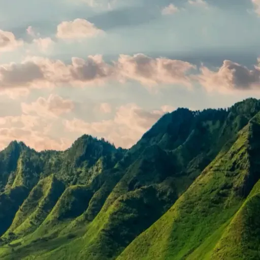 Pão Nosso - 75. Murmurações