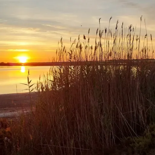 VIENTO DE LEBECHE T03C044 Aquel verano ancestral (01/07/2024)