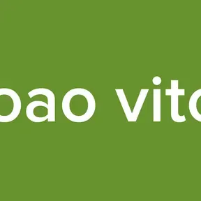Joao vitor