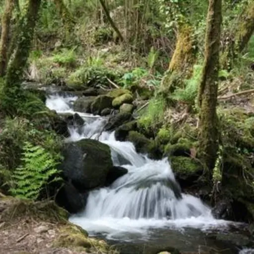 El Señor es tu ayudador - Meditación diaria