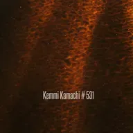 Kemmi Kamachi # 531