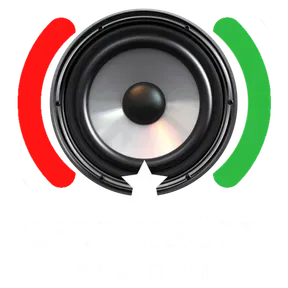SΛBILINGÜER Radio FM