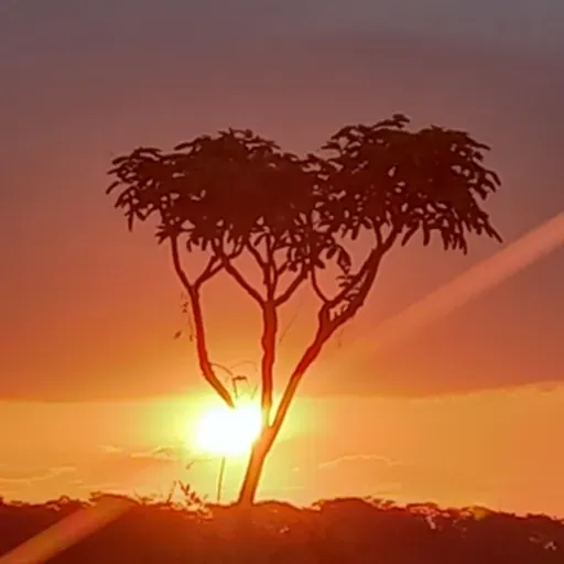 recebendo nosso direito de herança