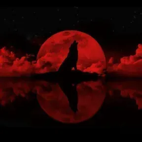 Radio Wolf