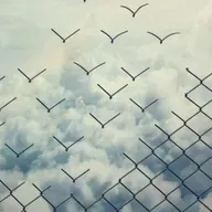 Ser livre é uma escolha KALA