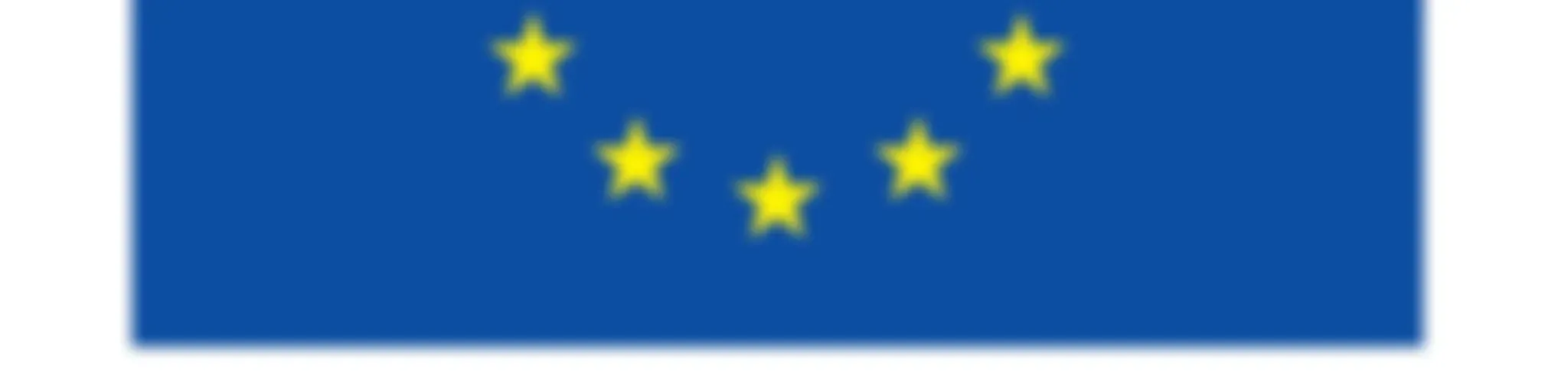 Atividades de Comunicação Europe Direct Minho