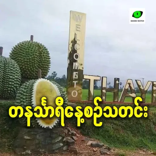 ဖေဖော်ဝါရီလ ၂၃ရက် တနင်္သာရီနေ့စဉ်သတင်း အစီအစဉ်