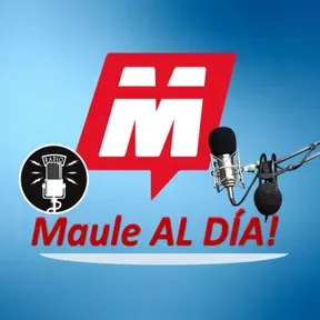 Maule 247 Radio