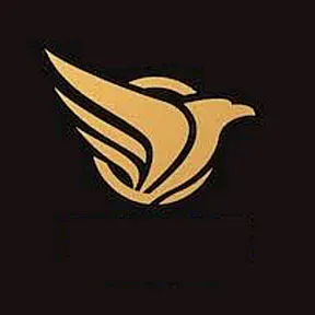Radio Web Eagle