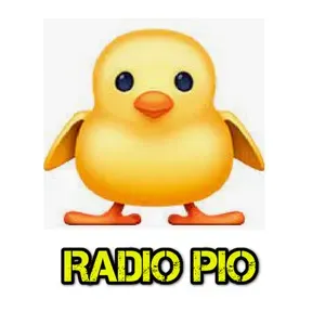 Radio Pollito pio