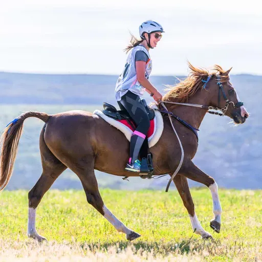 Healing Through Endurance: In Conversation with Courtney Chapman