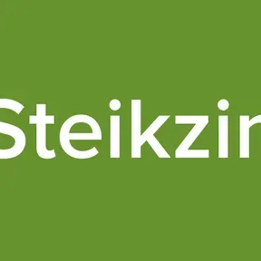 Steikzin