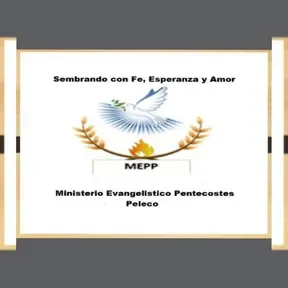 MEPP Sembrando con fe y esperanza