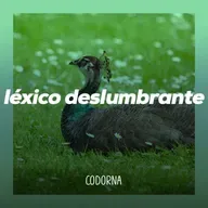 Léxico Deslumbrante | Codorna 57