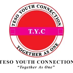 Tesoconnect256