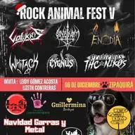 Animal Fest V - Zipaquirá
