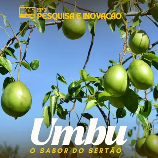 Umbu: o Sabor do Sertão | EP 3 - Pesquisa e Inovação